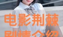 荆棘在线观看,揭秘网络世界的生存法则与挑战